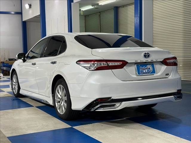 3717fbee73ae1f6a0193c6196cf2d8ca.jpg