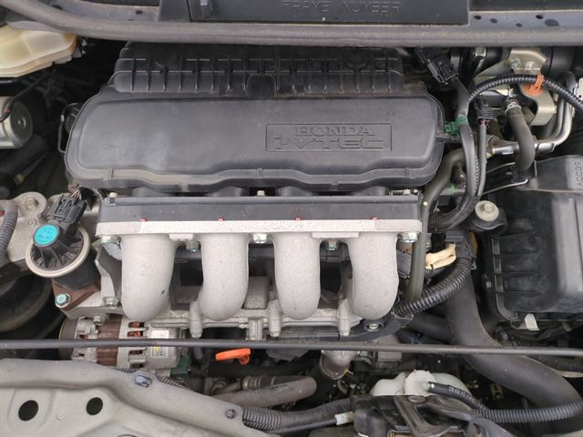 08.jpg