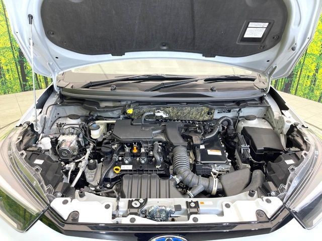 6deffb606493d62d4d56878f26e56950.jpg