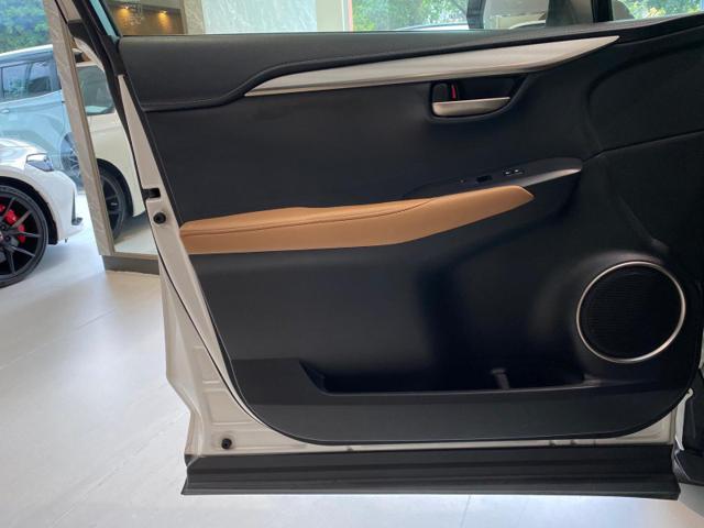 c19a0f254fa813645610556414bb67ba.jpeg