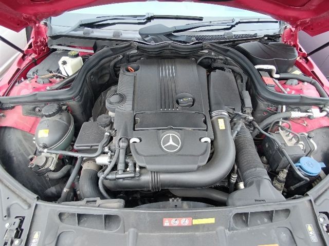 08.jpg