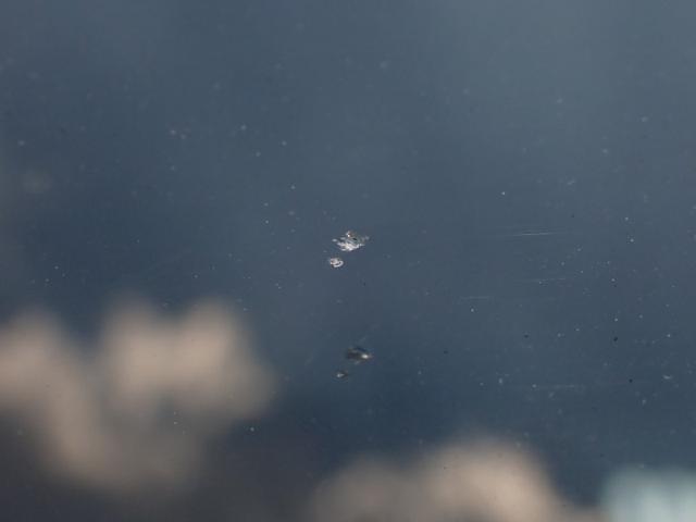 18f8a440090450f520cdb6eac7a9434c.jpeg