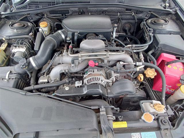 08.jpg