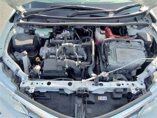 08.jpg