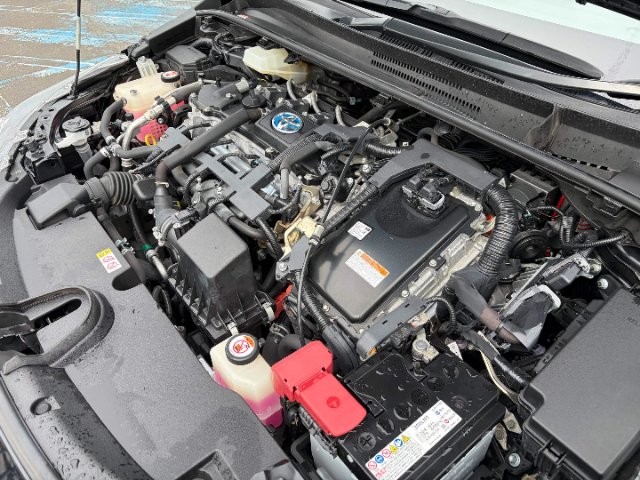 a3bb97aae8583692f9b79d8f603fd8bb.jpg
