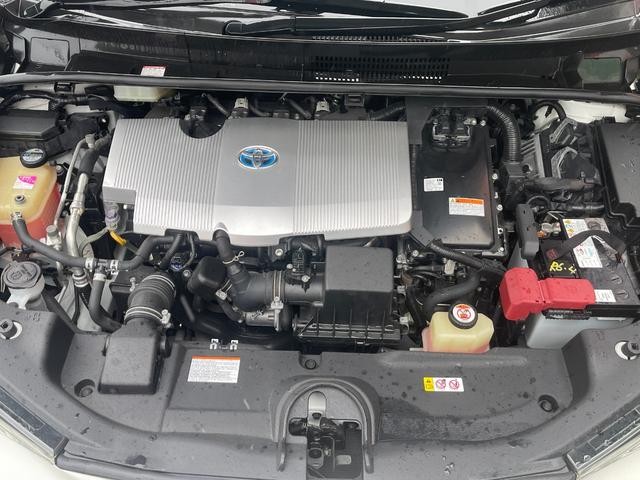 0510855A30260921W00217.jpg