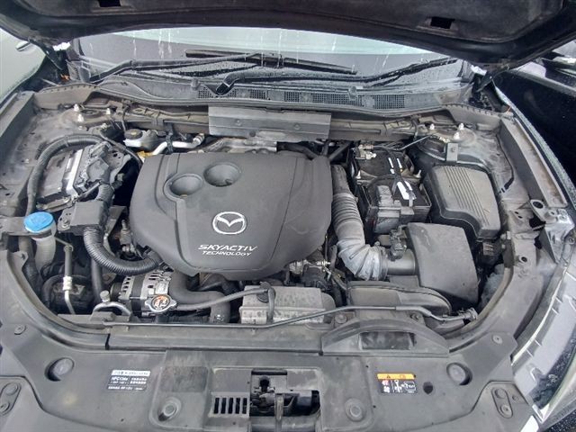 08.jpg