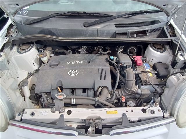 08.jpg