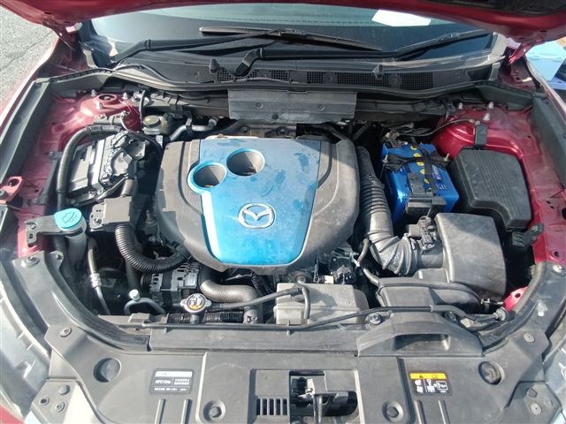 08.jpg