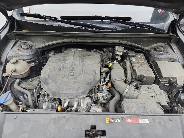lotterental_101109816_N7a4W_2.jpg