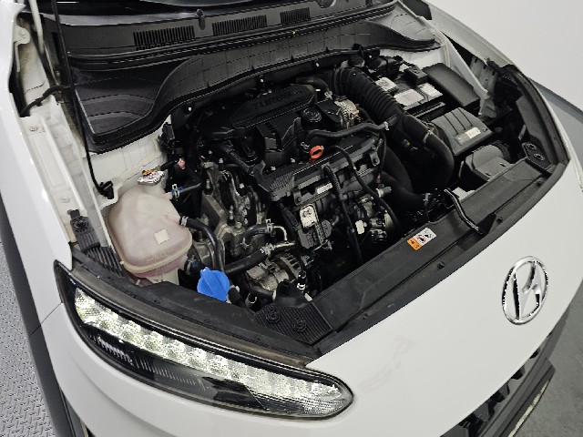 020f50cc7add9d2b0ed00f9771eb420c.jpeg
