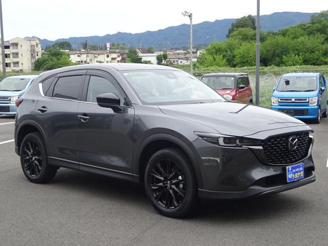 115fc1a500e55234a80b0f6ca3b55b55.jpg
