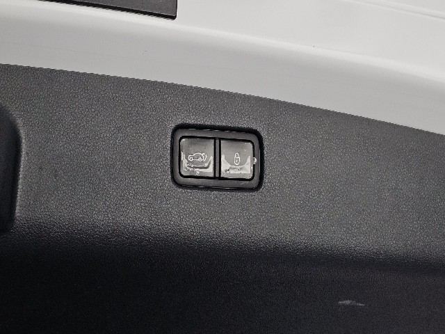 cf0576a07db4cac94e56663aabb9499f.jpeg