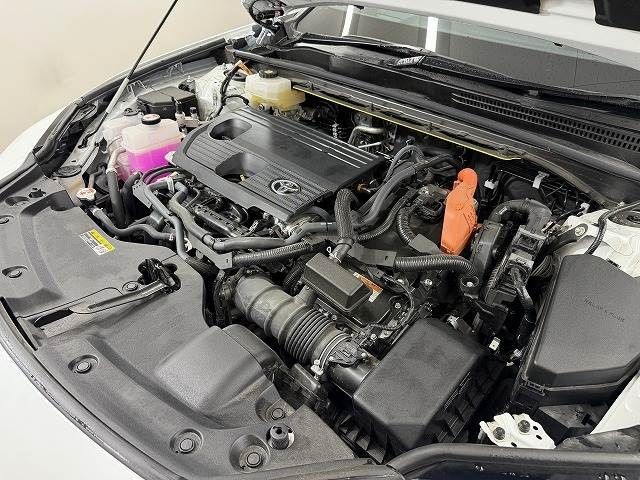a824e1d2e2ab85fddbb9cc079355a936.jpg