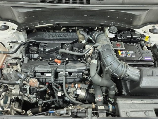 6101000974R5.jpg