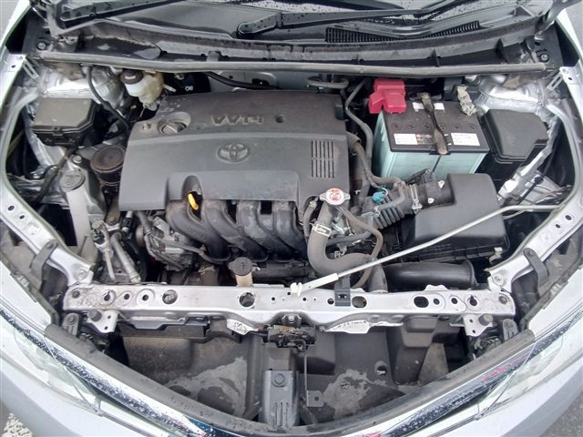 08.jpg