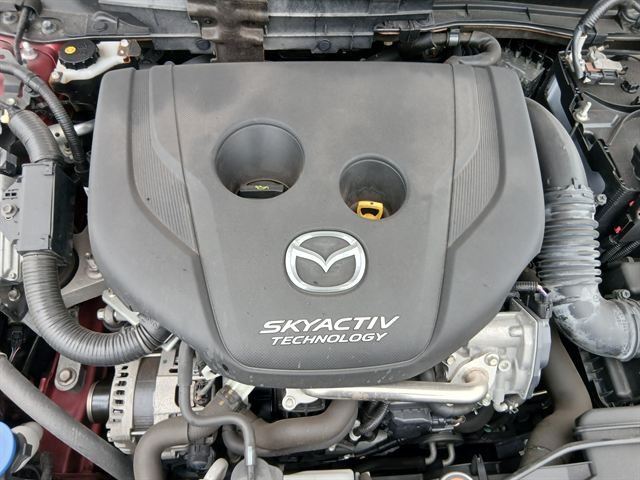 08.jpg