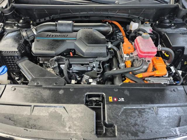 6051500163R5.jpg