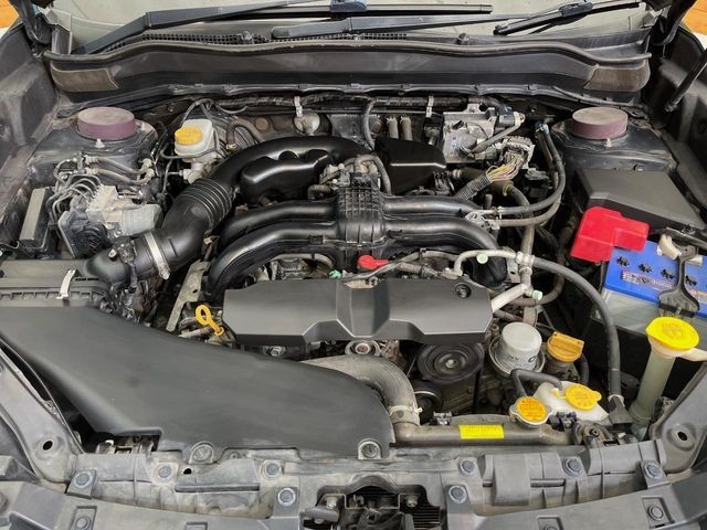 e14ac4b3c97feff1e58fdd226dd13ca5.jpg