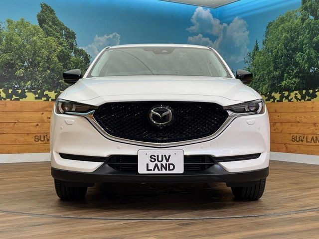 ce13fc5e1a48869a30cb2c09b777e275.jpg