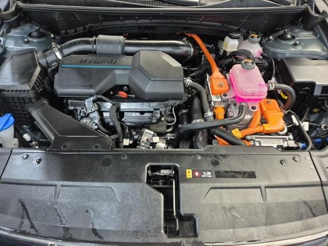 6051500009R5.jpg