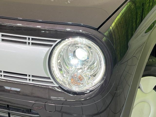 1919576869c65482886e77b69c4163e5.jpg