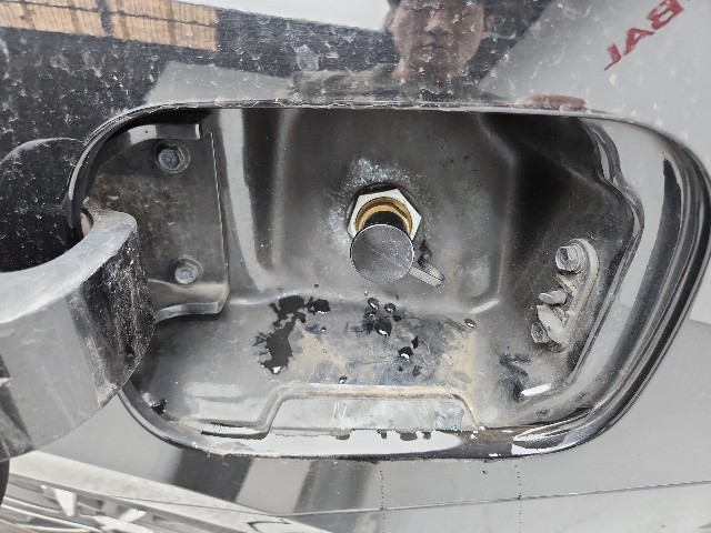 lotterental_212631907_t9S2A_3.jpg