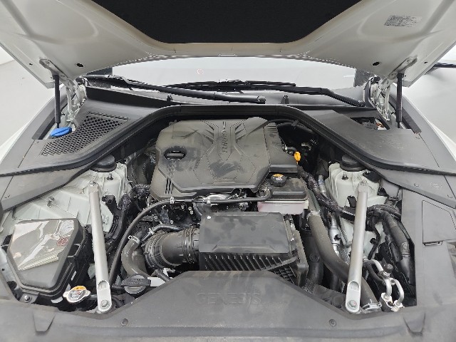 lotterental_155257626_JZXJP_8.jpg