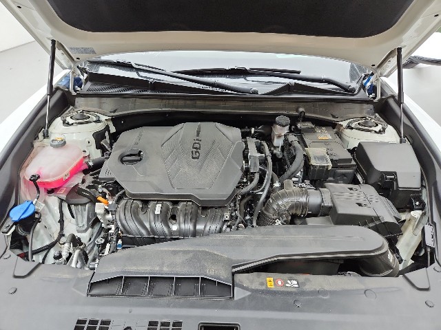 lotterental_211330878_XydMJ_10.jpg