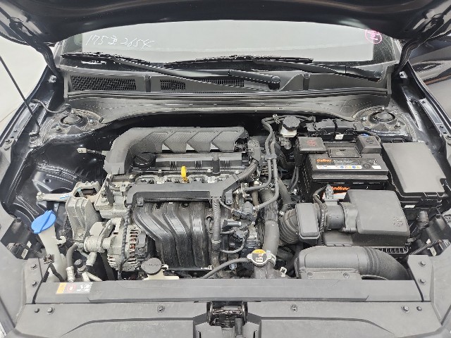 lotterental_155810660_V8Ukd_9.jpg