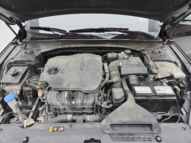 lotterental_150736323_AkulS_9.jpg