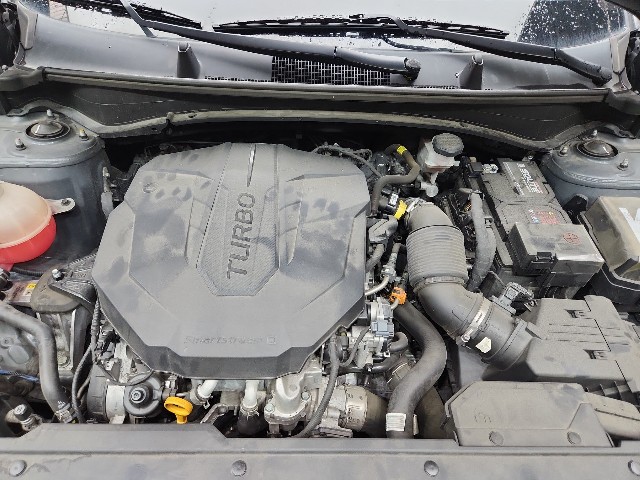lotterental_154153803_RvMkU_8.jpg