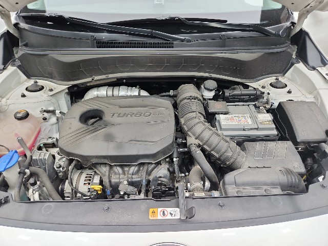 lotterental_10000836_JizK2_7.jpg