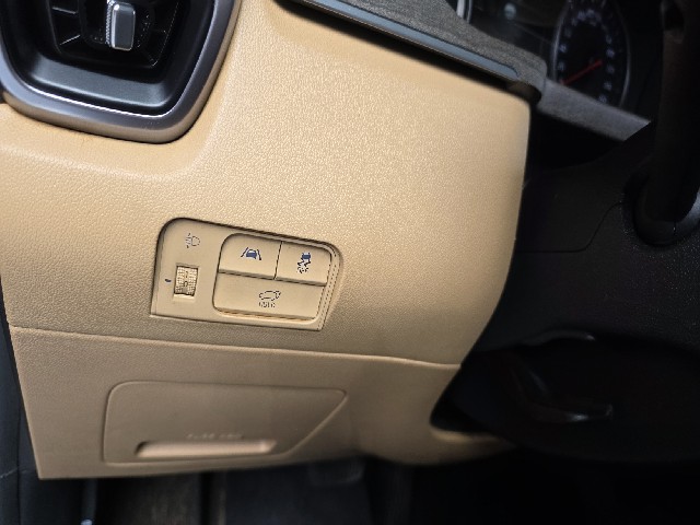 264e36c16090d056869675cc66399bba.jpeg