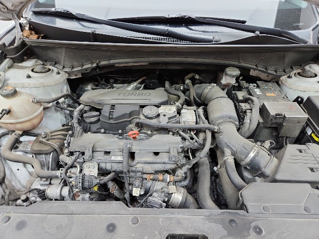 lotterental_210102157_eCGHM_7.jpg