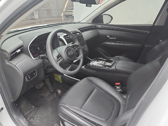 lotterental_165514259_WrA0K_1.jpg