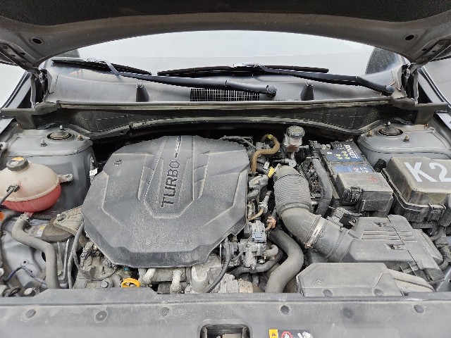 lotterental_170511705_C315O_9.jpg