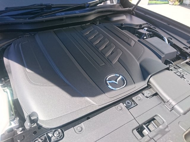 6fc580cc150524bc16387b34593433a8.jpg