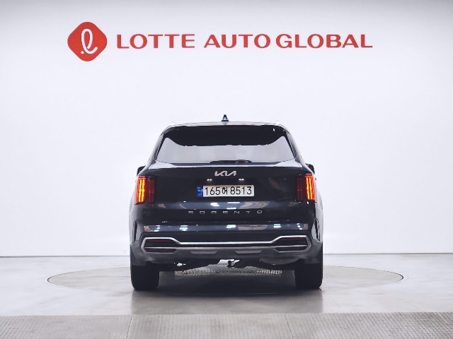 lotterental_150832949_2Q7Z6_3.jpg