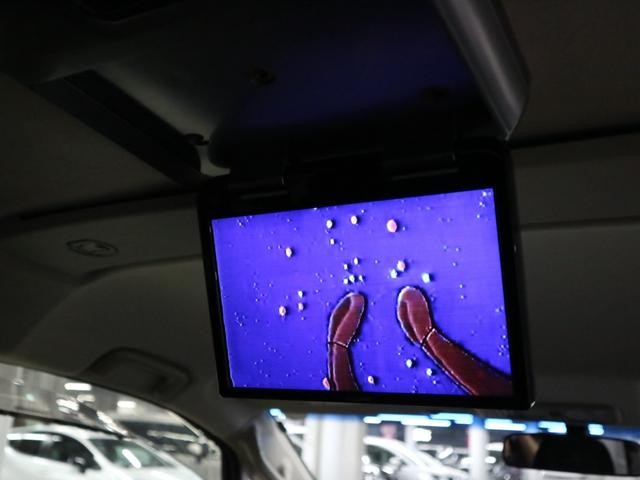 0500075A20261021K00916.jpg