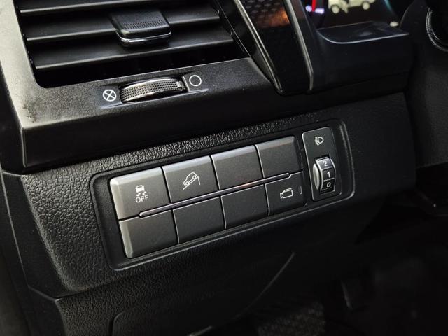 6051000679R17.jpg