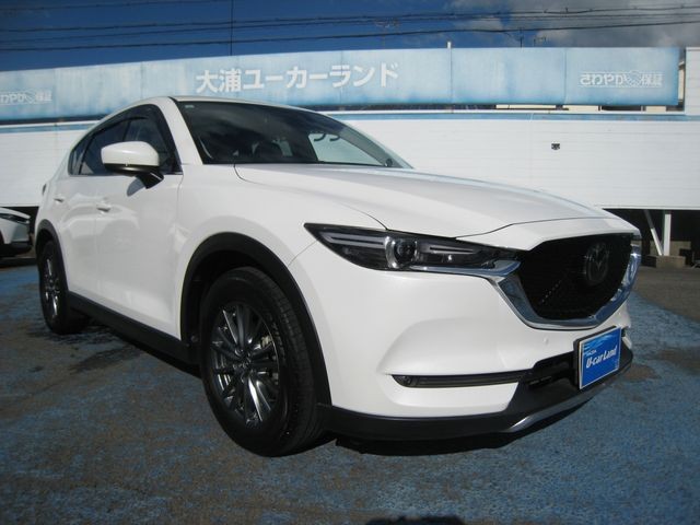 73d7dc3ac3cda5d6af85b77844b0752e.jpg