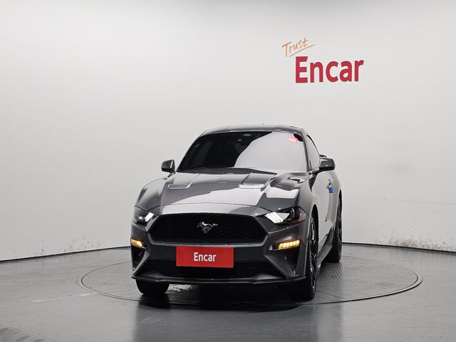 c38be3617dfdab160a09f00756954138.jpeg