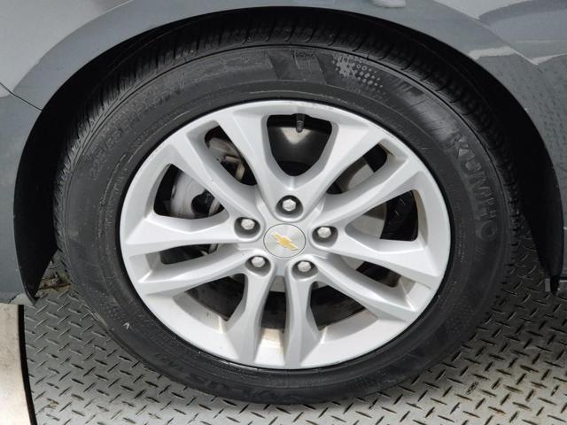 6031000142R18.jpg