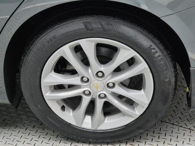 6031000142R19.jpg