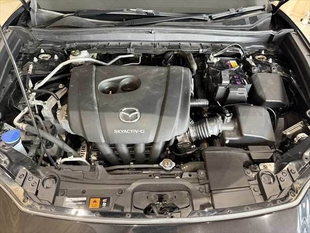 be111d7293933689b23025e548993537.jpg