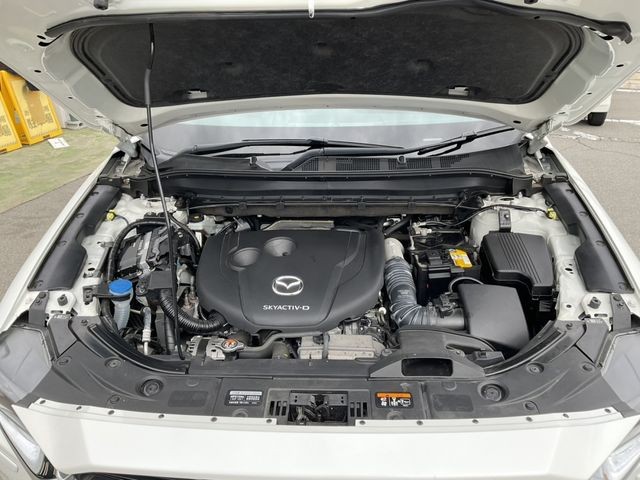 f53fc515e9b4eb306ad895e999ff6b24.jpg