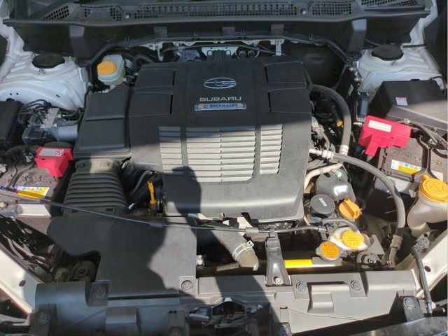 eec55bf144658896412148f088d4cf92.jpg