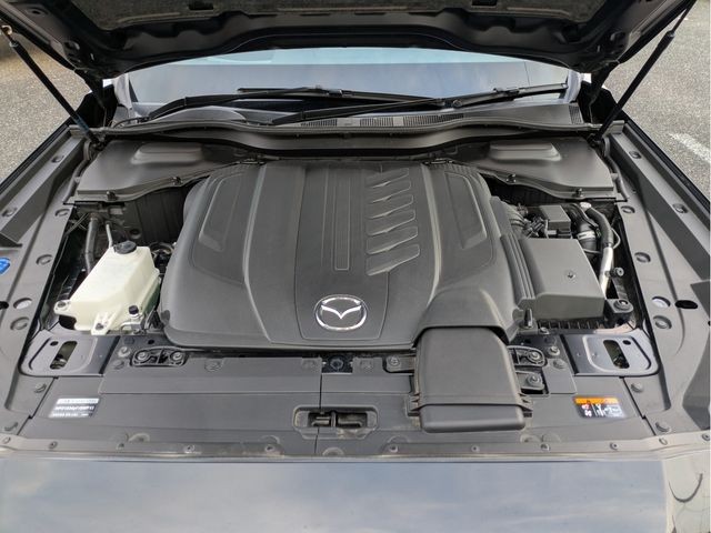 a1515bbed4b85c2ef31afc0b353cade4.jpg