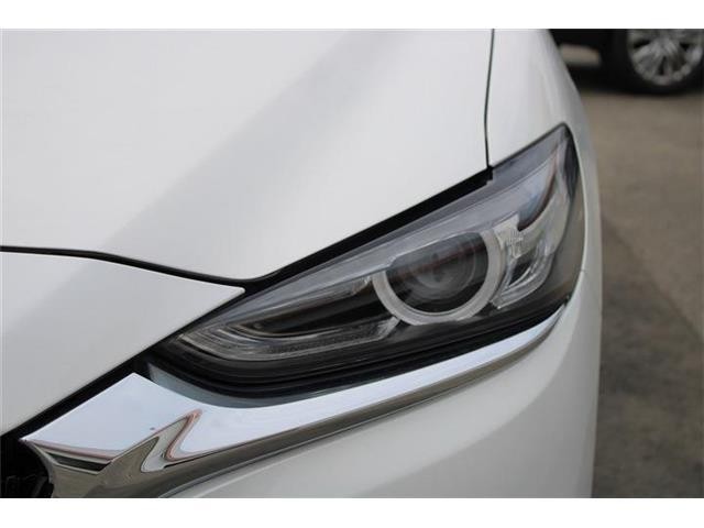 2e335dfd996302932d88c5ce66b828dc.jpg